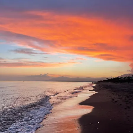 Modern Penthouse In With Pool *