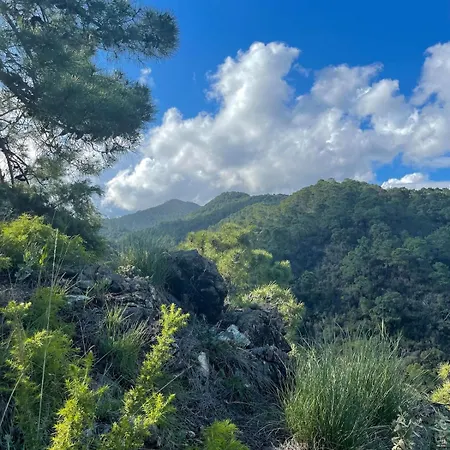 شقة Modern Penthouse In With Pool *