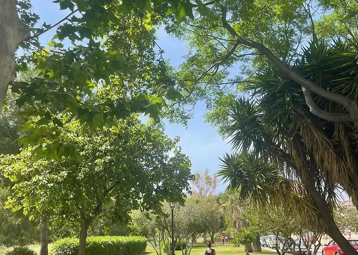 Modern Penthouse In With Pool *