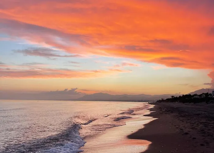 Modern Penthouse In With Pool *