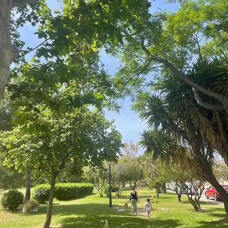 Modern Penthouse In With Pool *