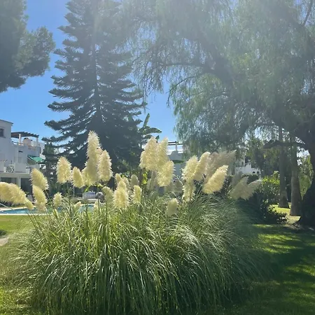 Modern Penthouse In With Pool Apartmán *